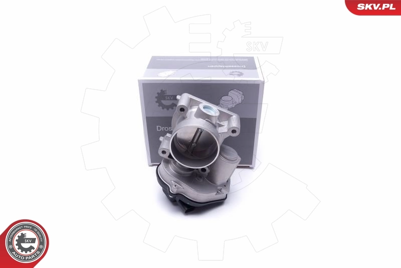 Throttle Body